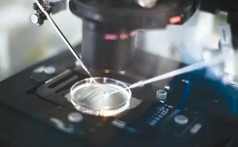 试管代怀多少钱？附代怀生男孩费用？