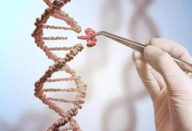 广东私立试管婴儿医院排名？深圳恒生医院排名第一？