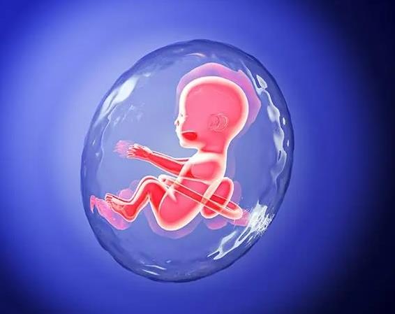 2023年上海私立医院做试管婴儿需要提供结婚证吗？