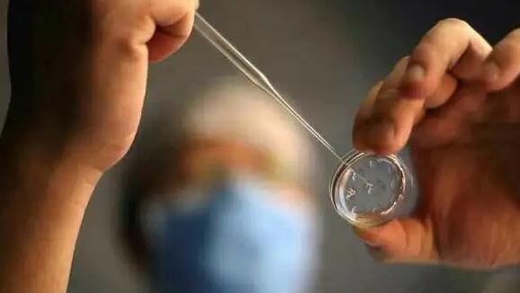 公立医院供卵试管等到卵源后可以直接移植吗？附移植时间