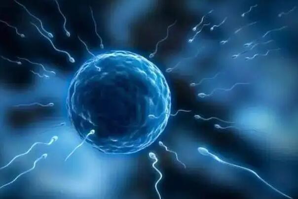 汕头中心医院供卵试管婴儿成功率？附详细医院信息？