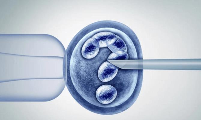 厦门最好的公立试管婴儿医院排名？