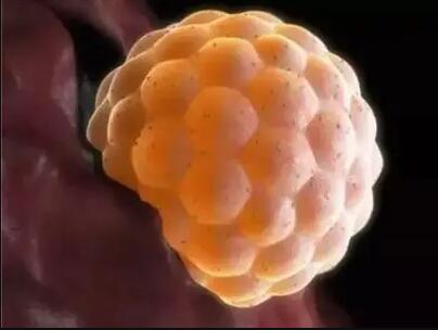 深圳市罗湖区人民医院供卵试管成功率？附详细成功率数据？