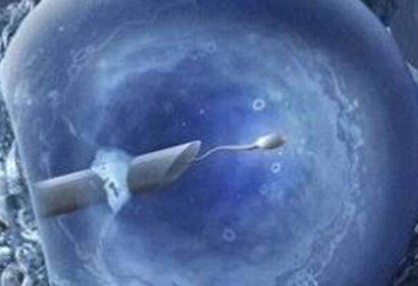 高龄供卵试管成功率有多高？附详细介绍？