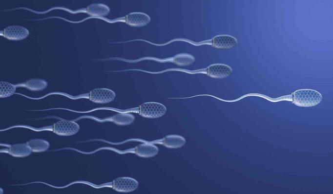 北京朝阳妇幼可以做供精试管婴儿吗？成功率怎么样？