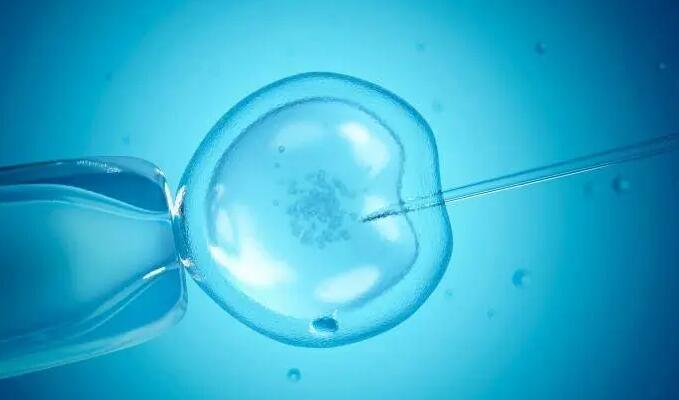 借卵生子是合法的吗？做试管借卵合法吗？