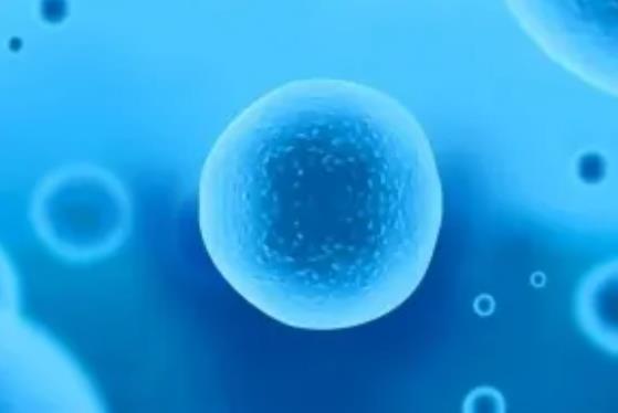 2022泰安供卵试管婴儿医院排名，哪家医院成功率最高？