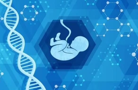 石女可以通过试管婴儿可以怀孕吗？成功率有多少？