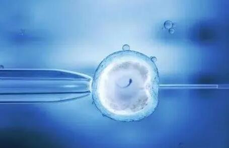 2022黑龙江省试管婴儿费用明细？附试管婴儿补贴政策？