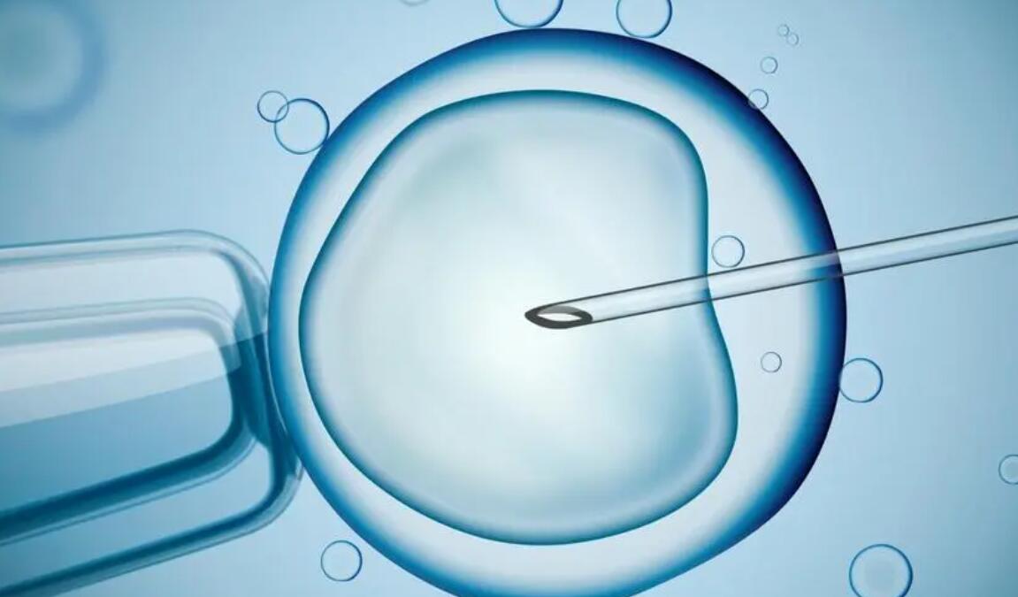 2022年惠州做试管要多少钱？惠州试管医院费用高吗？