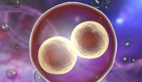 接受供卵需要多少钱？3万块钱能买到卵子吗？