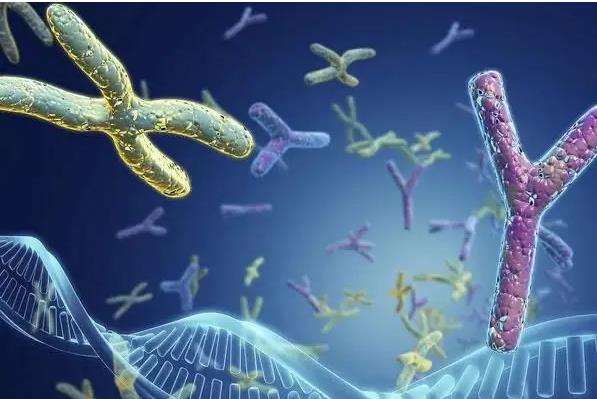 2022年华西二附院生殖医学中心能做供卵试管婴儿吗？成功率高吗？