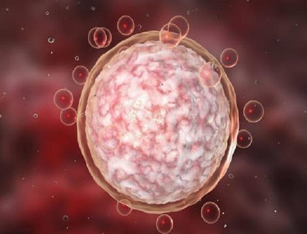 南昌供卵试管婴儿医院排名？可供卵的医院有哪些？