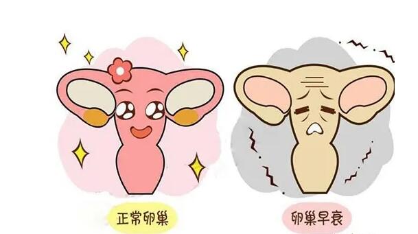 女性卵巢早衰可以通过试管助孕生孩子吗？