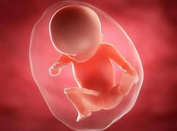 荆州供卵试管婴儿技术生男孩靠谱吗？