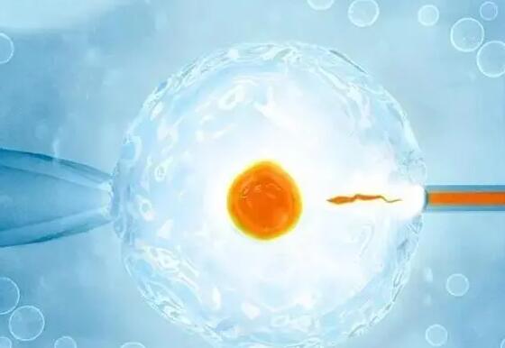 上海供卵试管要多长时间？上海供卵试管要等吗？