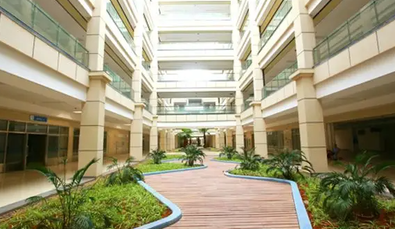 湛江试管婴儿医院排名前十的有哪些？附详细成功率费用