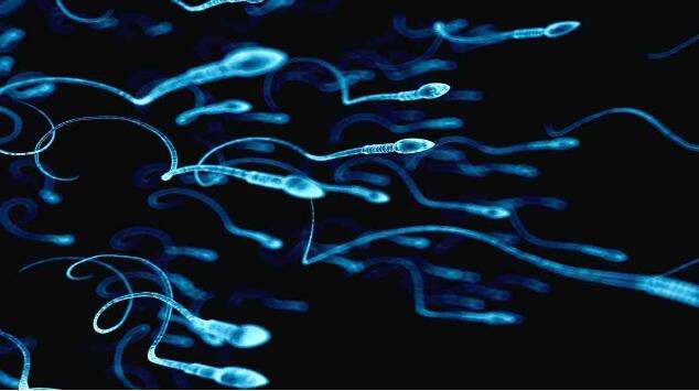 武汉供精试管生男孩医院排名？有没有医院可以包成功？