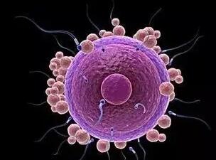 卵泡成熟障碍怎么治疗？做试管能生孩子吗？