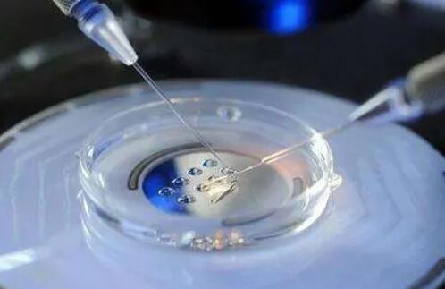 中国试管婴儿成功率前十名的医院有哪些？附详细成功率数据？