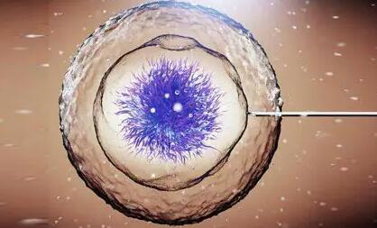 做试管想让胚胎快点着床怎么办？附详细方法？