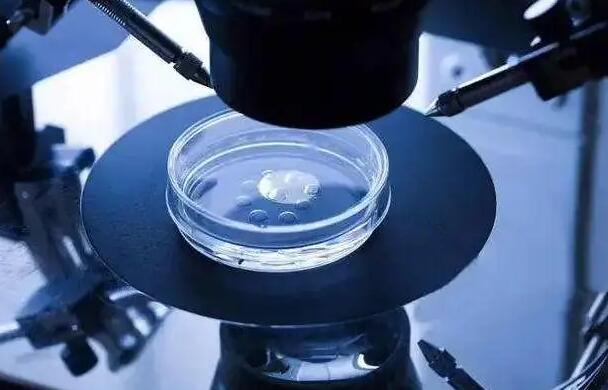 厦门做三代试管需要多长时间？附详细时间表？