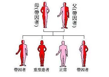 地中海贫血去深圳做三代试管要花多少钱？附详细费用