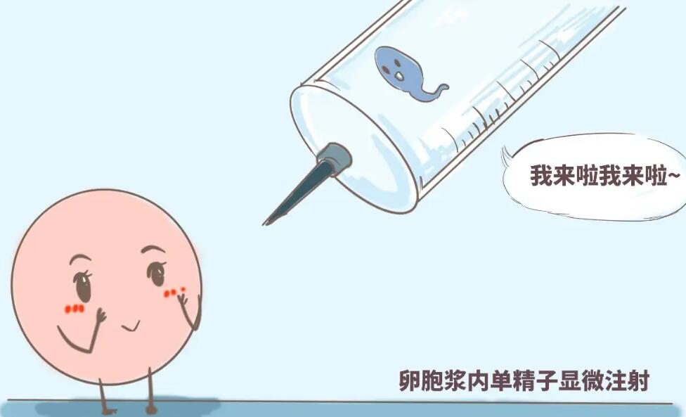 哪三种女人不适合做试管？不适合试管婴儿的症状