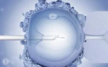 拉萨做试管要花多少钱？附拉萨试管费用明细