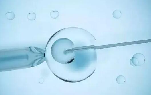 国内供卵费用一般都很贵吗？供卵试管多少钱？