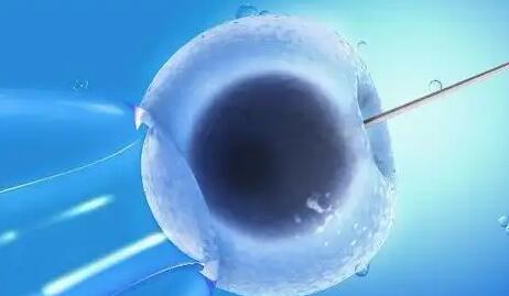 老婆年纪大了试管婴儿可以找人代生吗？要多少钱？