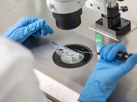 桂林供卵三代试管婴儿医院排行榜一览？附试管成功率费用明细？