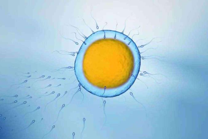 单角子宫结婚两年没有怀孕，老公精子活力也差能做试管婴儿吗？