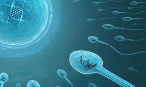 长春三代试管包生男孩价格？二十万够吗？