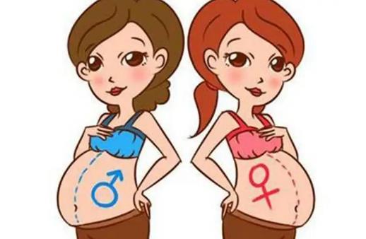 2022试管做男孩价格是多少？在国内能做吗？