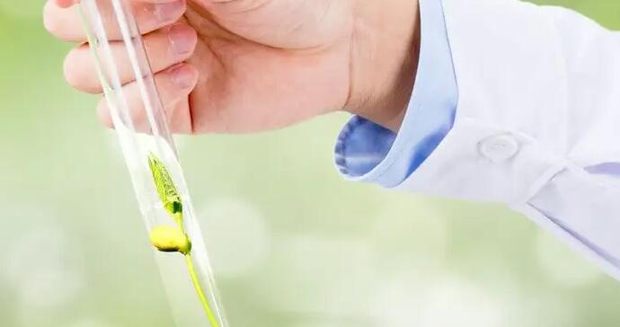 西藏试管婴儿费用及成功率？附明细情况？