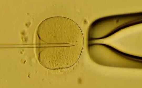 昆明供精试管医院怎么样？附详细医院信息