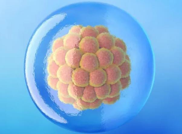 河南供卵试管代怀生子医院排名，附试管助孕机构一览？