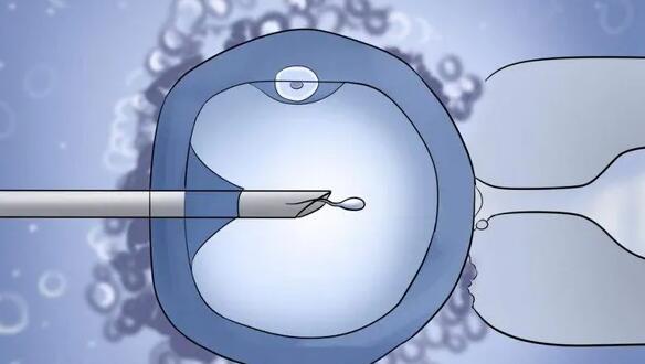 广州三代试管代怀中心排名？附详细排名信息？