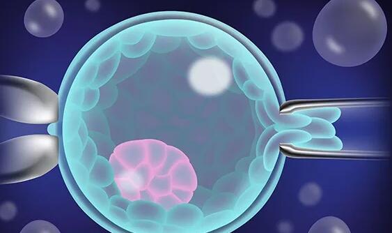 北京哪家私立生殖医院可以做供精供卵试管？附医院详情？