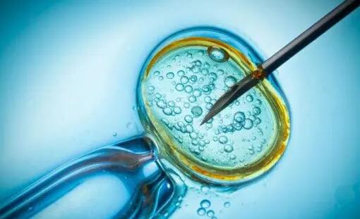 借卵做试管的费用可以报销吗？附试管报销政策