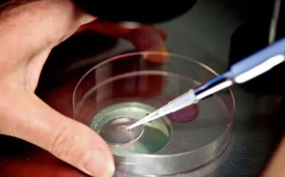 安徽排名前五的三代试管婴儿医院有哪些？附详细信息