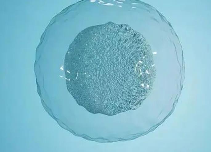 北京供卵不排队试管医院排名一览，2022年北京生殖中心名单汇总！