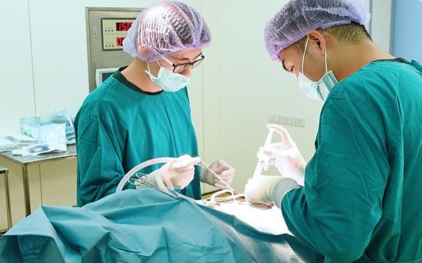 患有子宫腺肌症可以做试管婴儿吗？