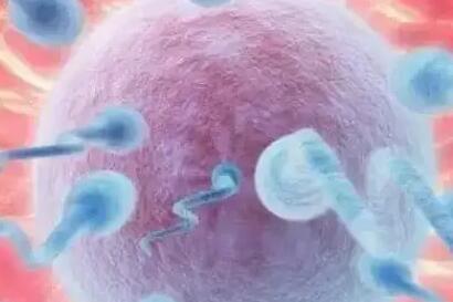 南京试管代怀机构排名？附详细机构信息？