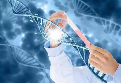 全国试管婴儿排名前十名的医院有哪些？附详细医院信息？