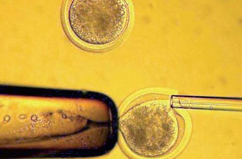 2022年北京三代试管婴儿医院排名，哪些医院上榜了？