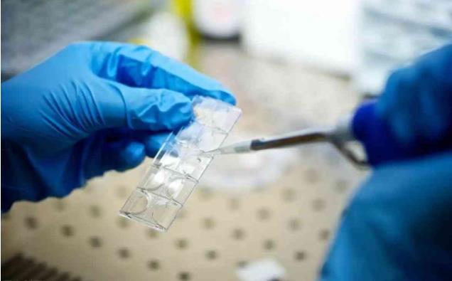 鄂尔多斯妇产医院试管婴儿成功率高吗？鄂尔多斯试管婴儿成功率？