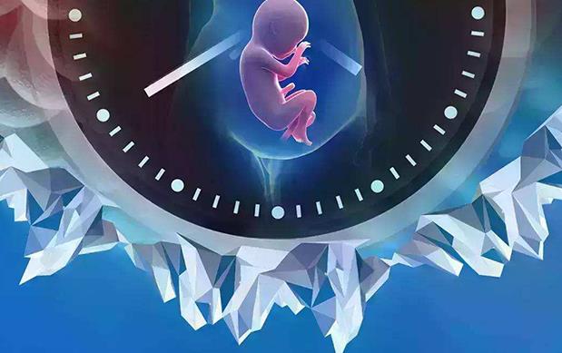 广州试管婴儿成功率高的私立医院？广州试管婴儿成功率排名？