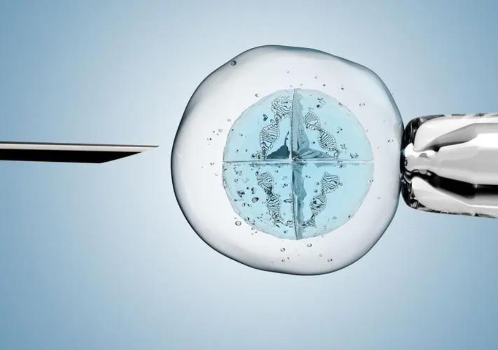 试管科普 | 第三代试管婴儿PGD可以筛查出哪些遗传疾病？